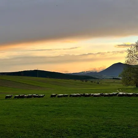 Alba *
